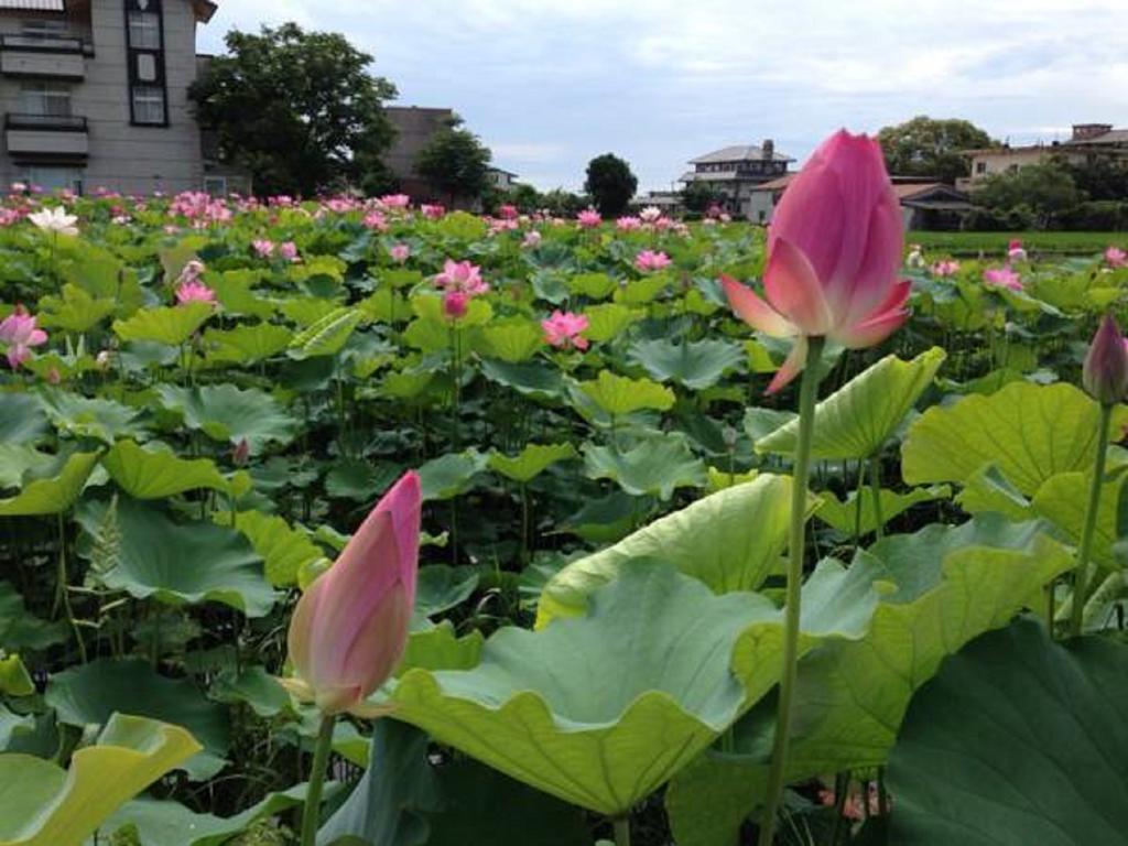 Bed and Breakfast Mystery13 Luodong Esterno foto